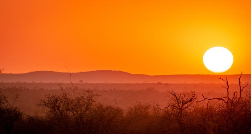 Kruger Park Sunset