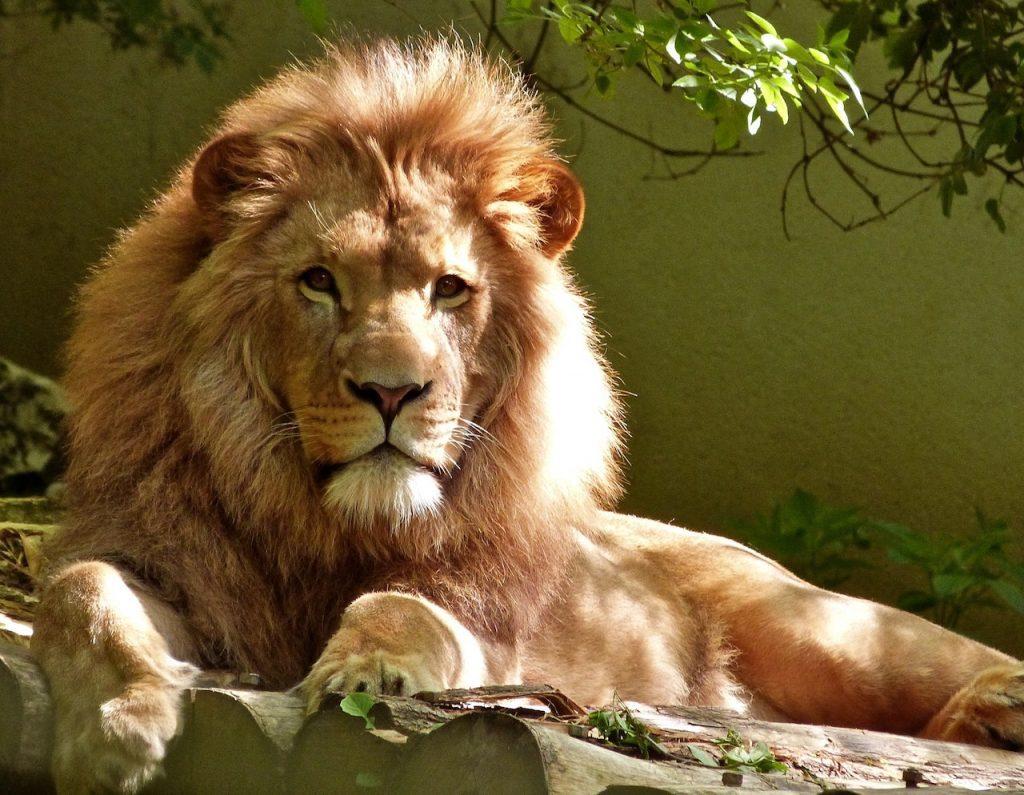Visit South Africa Kruger National Park